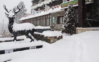 Hotel Amoretes